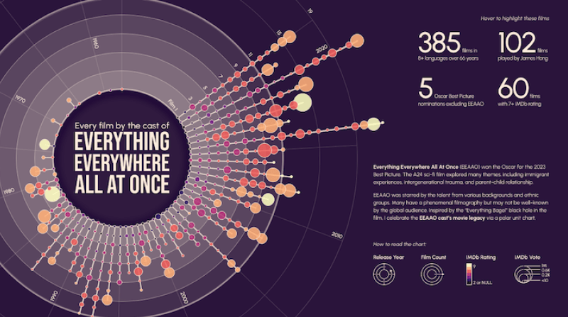 Everything Everywhere All At Once Viz